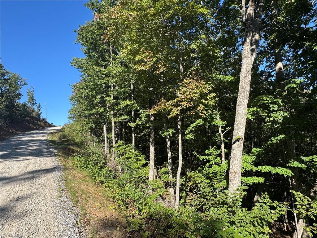 Tract 47 Widow Mountain Drive Property Photo 4