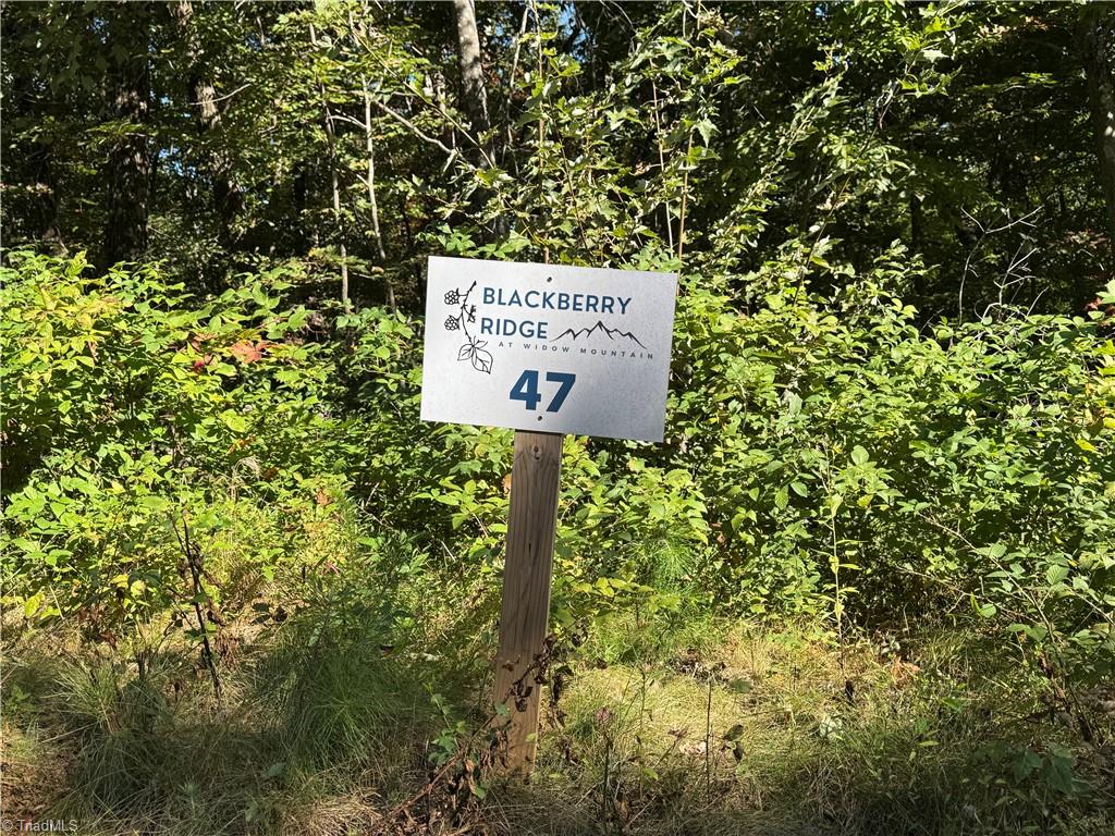 Tract 47 Widow Mountain Drive Property Photo 5