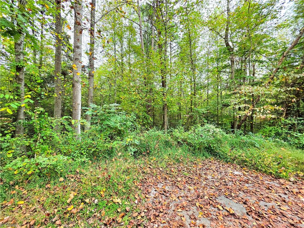 Lot 1 Holder Street Property Photo 1