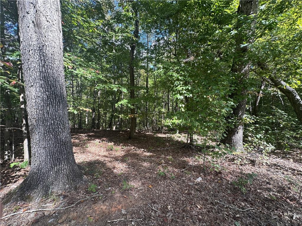 8410 Linville Road Property Photo 15