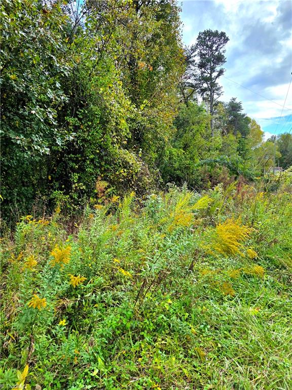 Lot 13 Mountain View Road Property Photo 3