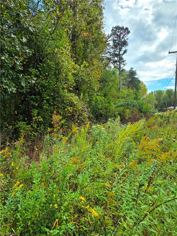 Lot 13 Mountain View Road Property Photo 4