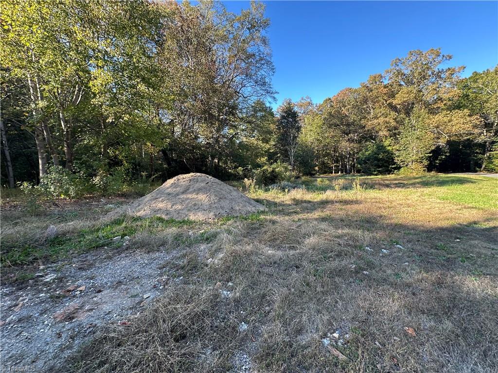 00 Courtney Huntsville Road Property Photo 2