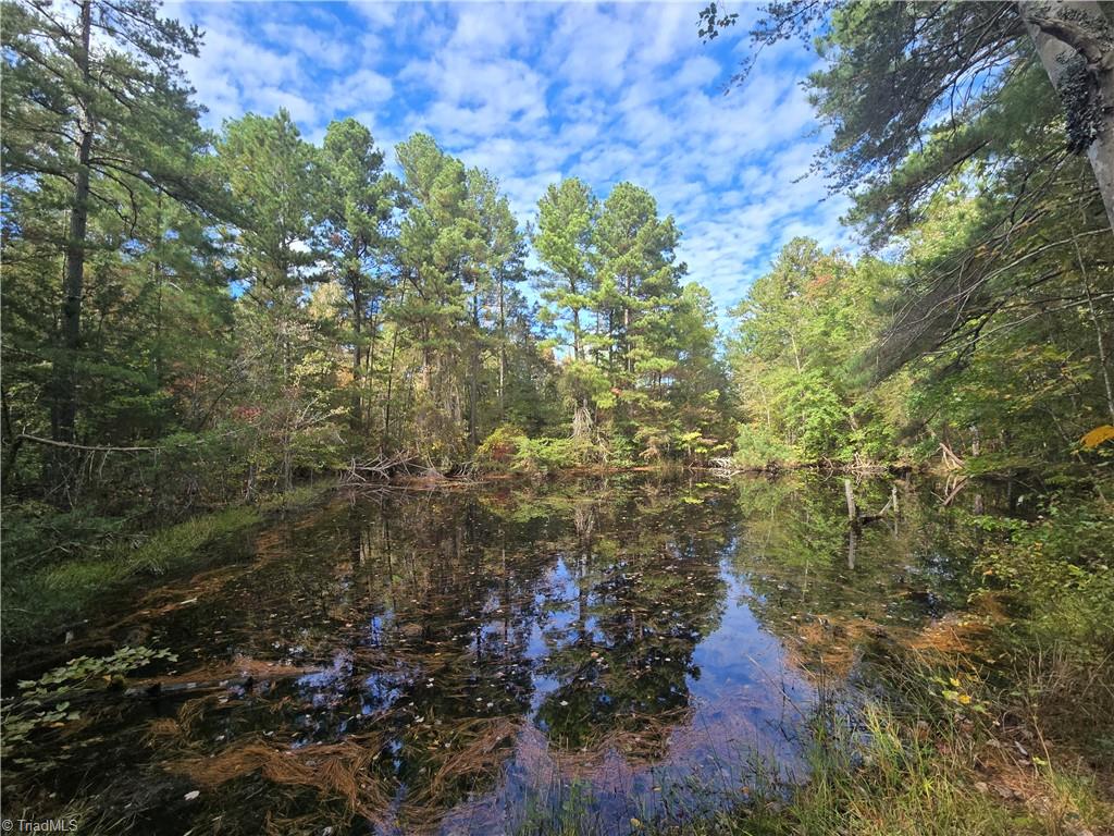 0 Bass Mountain Road Property Photo 1