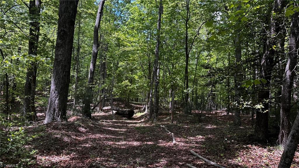 6800 Nc Highway 18 Property Photo 6