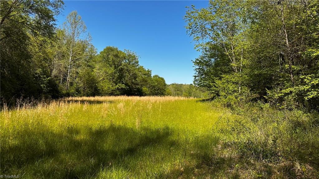 6800 Nc Highway 18 Property Photo 10