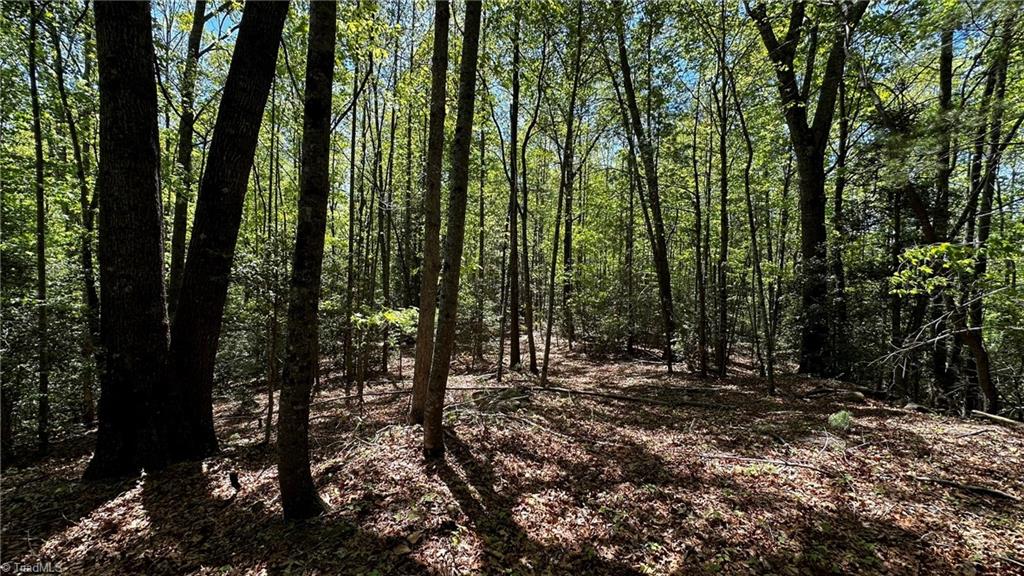 6800 Nc Highway 18 Property Photo 16