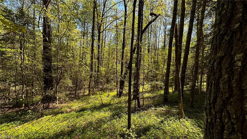 6800 Nc Highway 18 Property Photo 17