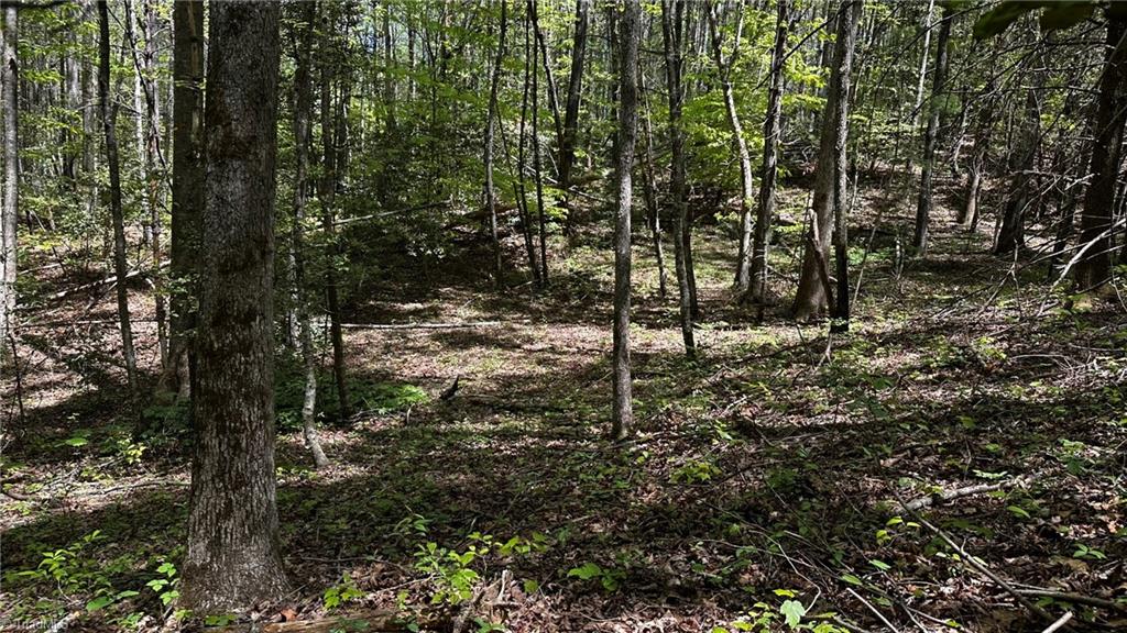 6800 Nc Highway 18 Property Photo 31