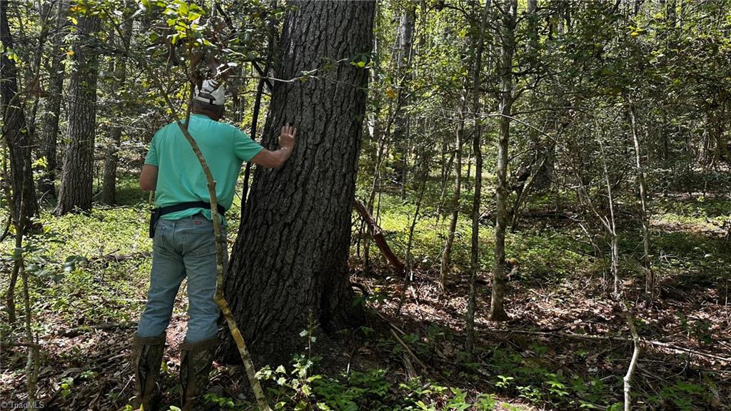 6800 Nc Highway 18 Property Photo 32