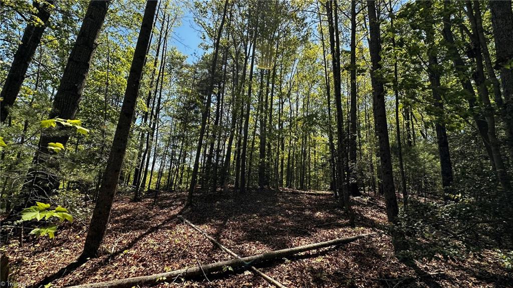 6800 Nc Highway 18 Property Photo 33