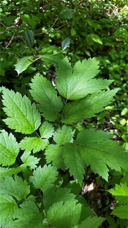 6800 Nc Highway 18 Property Photo 34