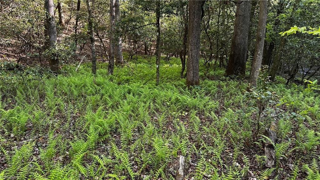 6800 Nc Highway 18 Property Photo 39