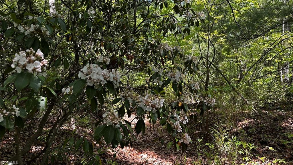 6800 Nc Highway 18 Property Photo 40