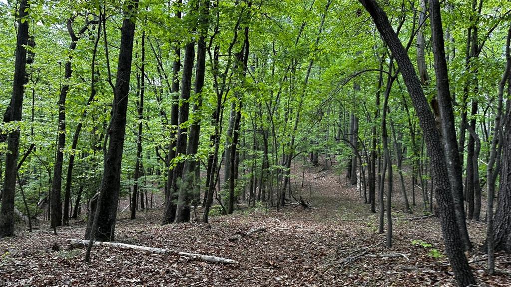 6800 Nc Highway 18 Property Photo 42