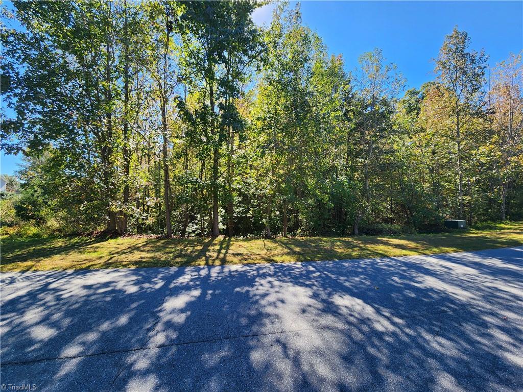 485 Saddlebred Loop Property Photo 1