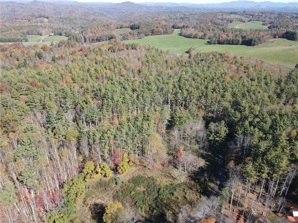Tbd Jake Blackburn Road Property Photo 6