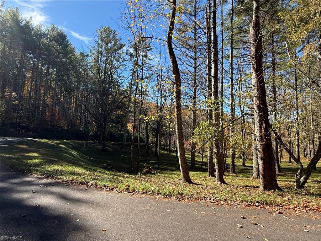 Tbd Jake Blackburn Road Property Photo 14