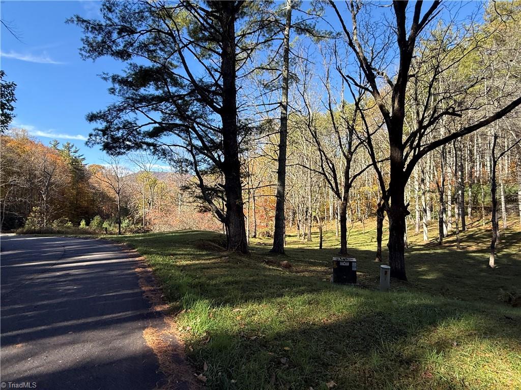 Tbd Jake Blackburn Road Property Photo 15