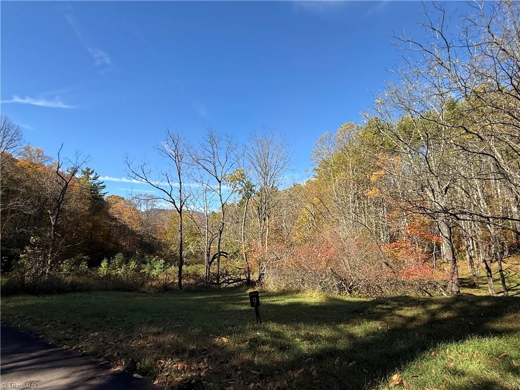 Tbd Jake Blackburn Road Property Photo 17