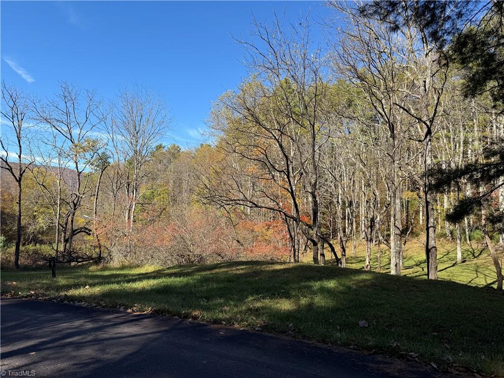 Tbd Jake Blackburn Road Property Photo 18