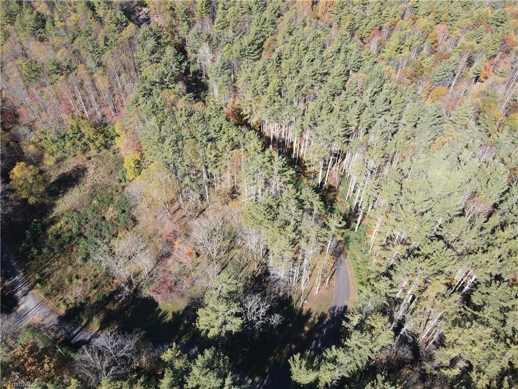 Tbd Jake Blackburn Road Property Photo 21