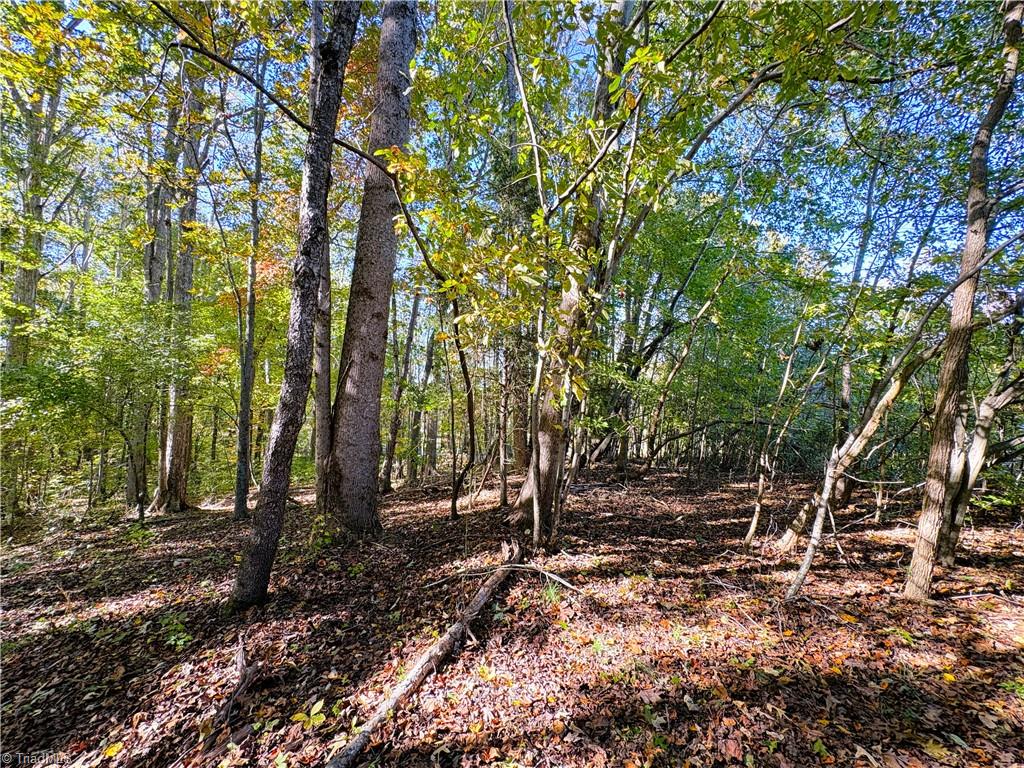 613 Barker Road Property Photo 14