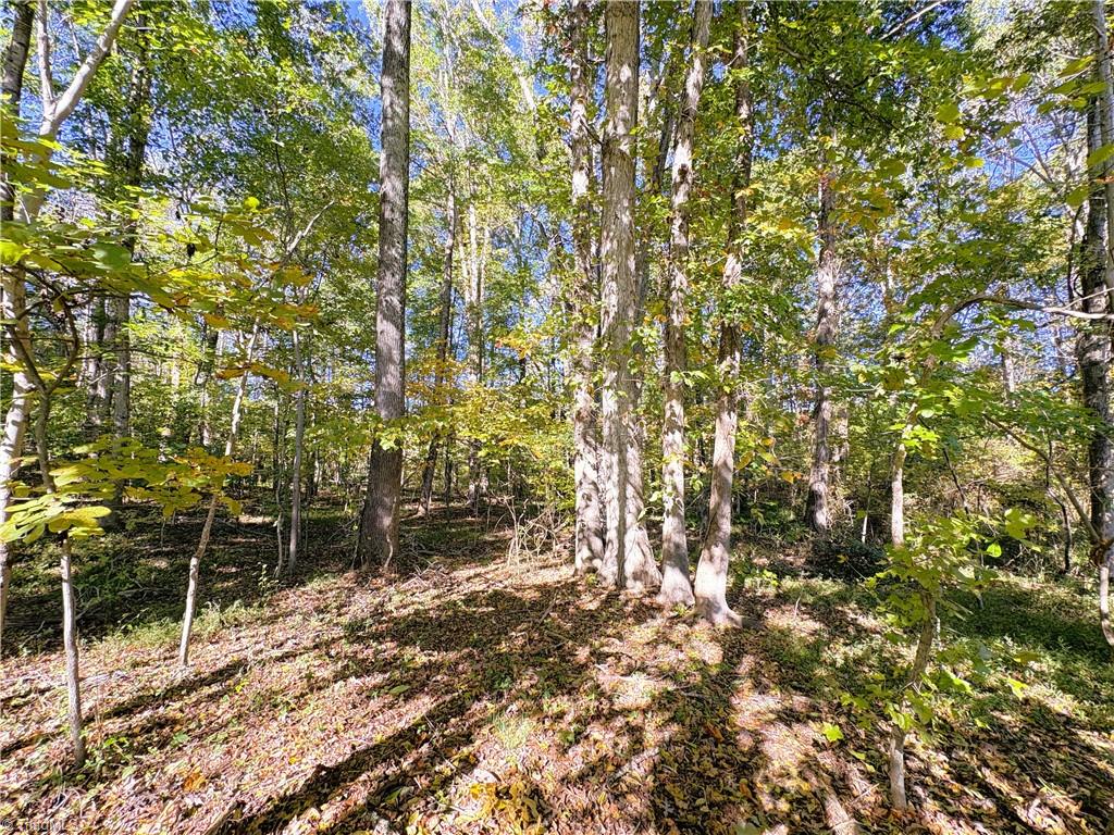 613 Barker Road Property Photo 17