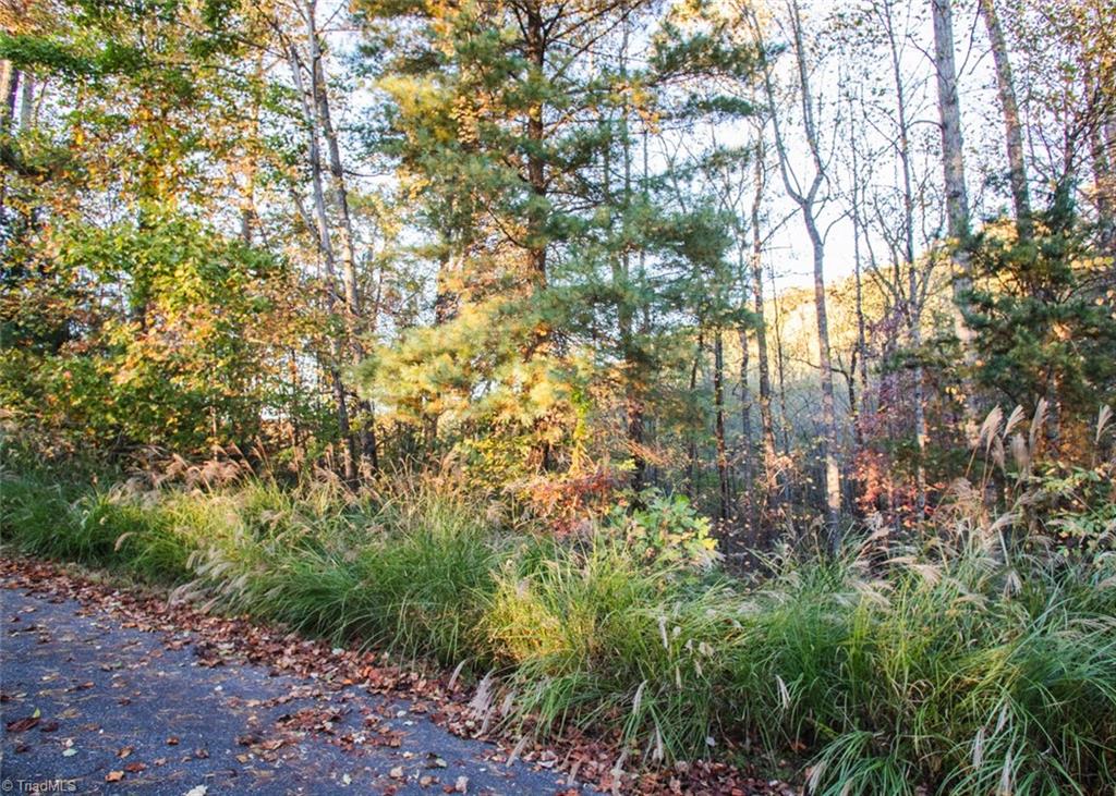 Tbd Lot 17 Chestnut Falls Drive Property Photo 1
