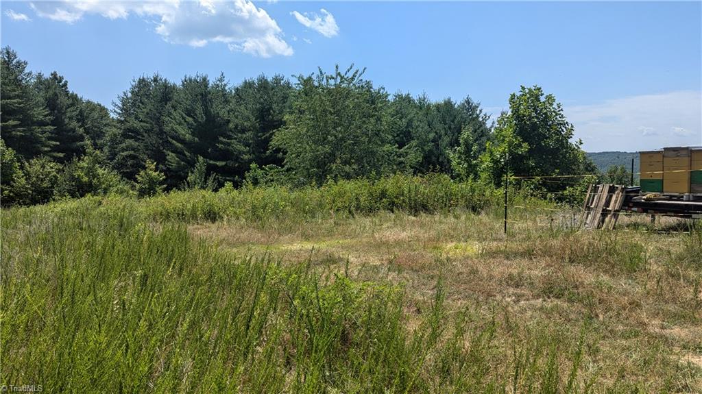 1501 Buckwheat Road Property Photo 8