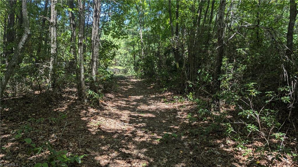 1501 Buckwheat Road Property Photo 35