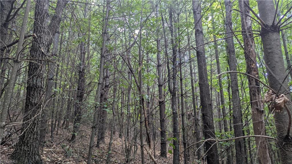 1501 Buckwheat Road Property Photo 39