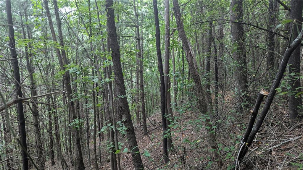 1501 Buckwheat Road Property Photo 48