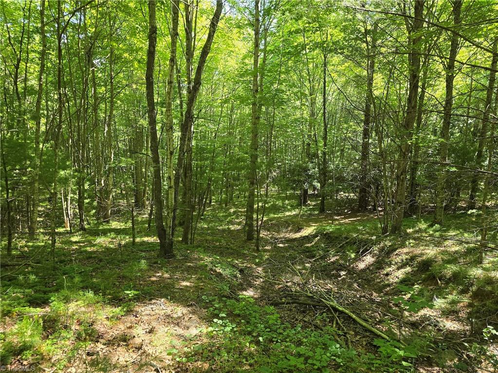 Tbd 50 Deer Spring Lane Property Photo 1