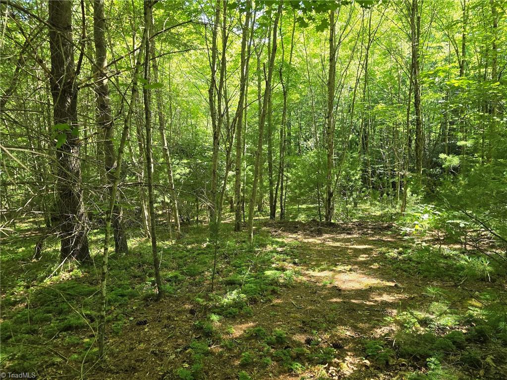 Tbd 50 Deer Spring Lane Property Photo 2