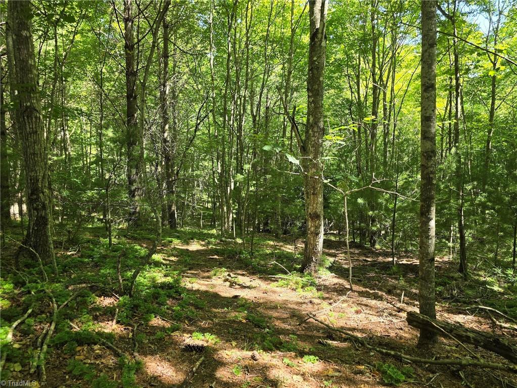 Tbd 50 Deer Spring Lane Property Photo 3