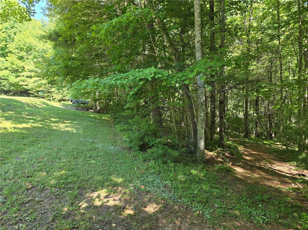 Tbd 50 Deer Spring Lane Property Photo 4