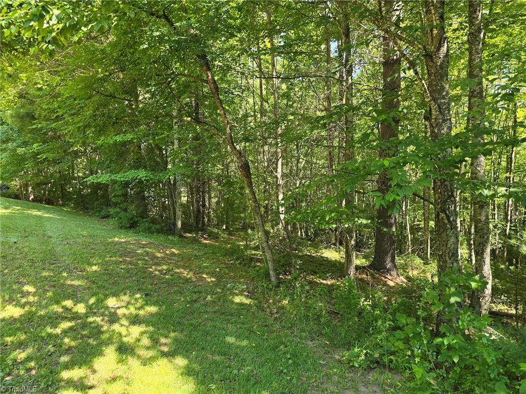 Tbd 50 Deer Spring Lane Property Photo 5