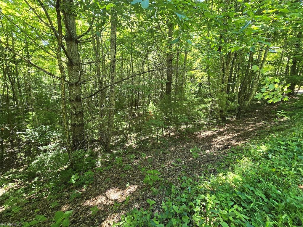 Tbd 50 Deer Spring Lane Property Photo 6