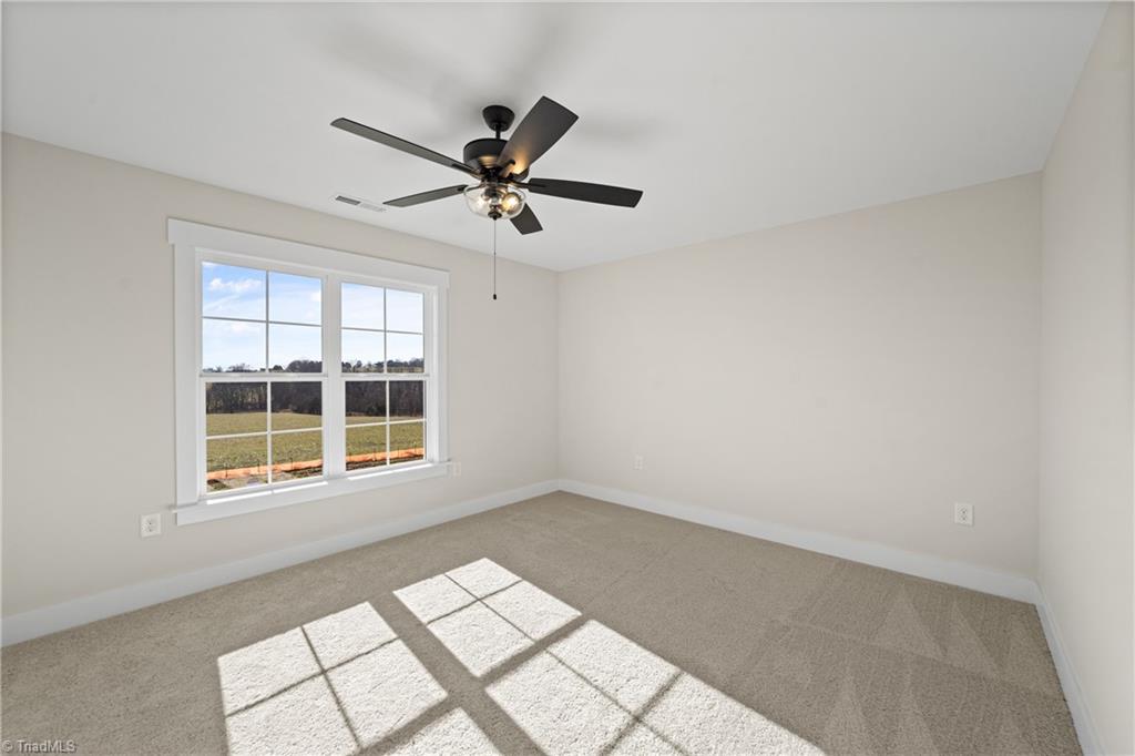 128 Orchard Grass Court Property Photo 33