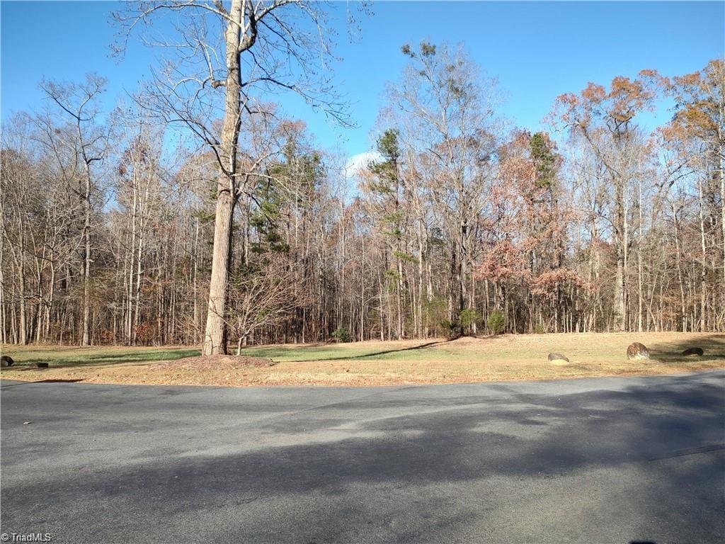 102 Harborgate Drive Property Photo 2