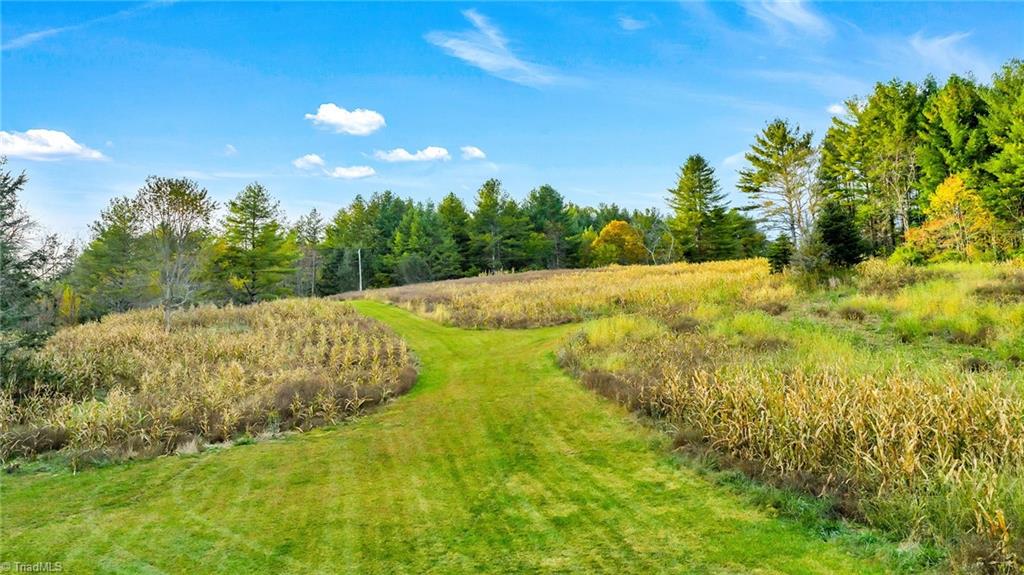 886 Jefferson Highway Property Photo 13