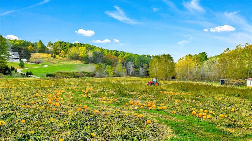 886 Jefferson Highway Property Photo 33