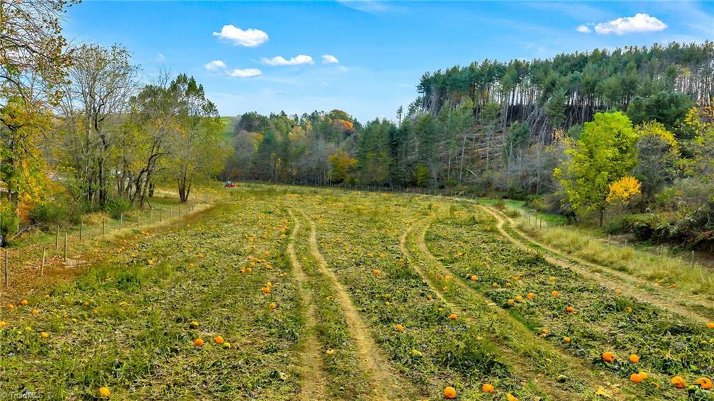 886 Jefferson Highway Property Photo 37