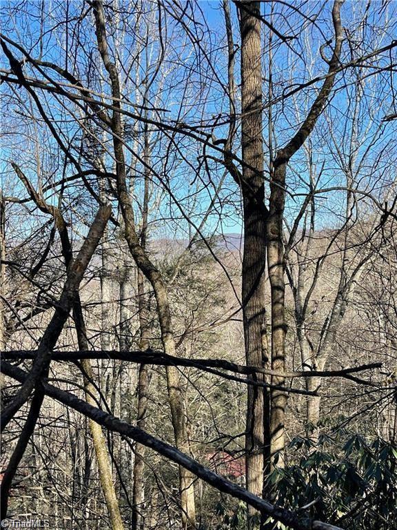 Lot E-15 Laurel Ridge Road Property Photo 1