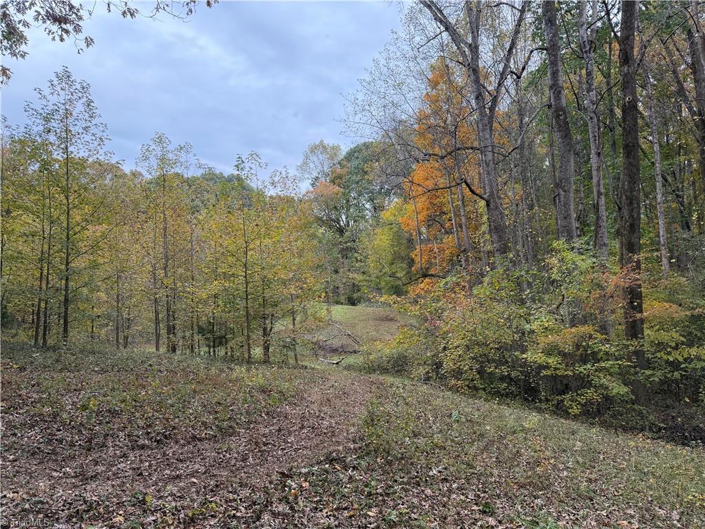 174 Liberty Road Property Photo 21