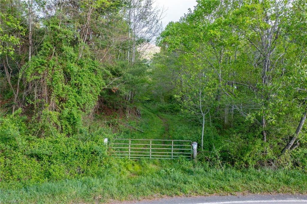 Tbd Ashe Park Road Property Photo 6