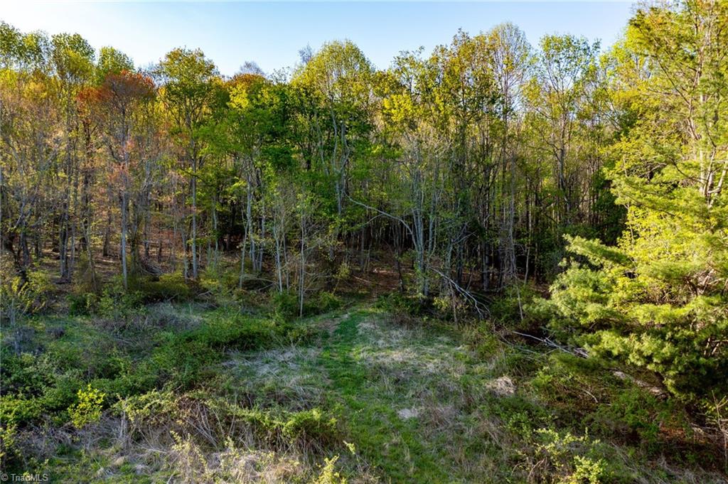 Tbd Ashe Park Road Property Photo 10
