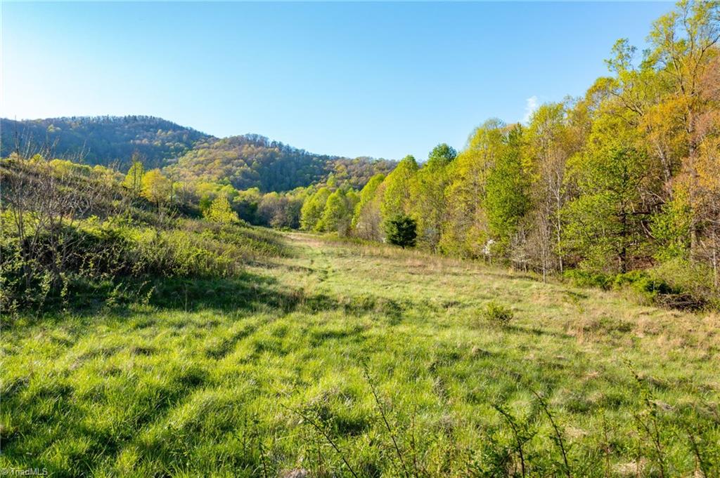 Tbd Ashe Park Road Property Photo 20