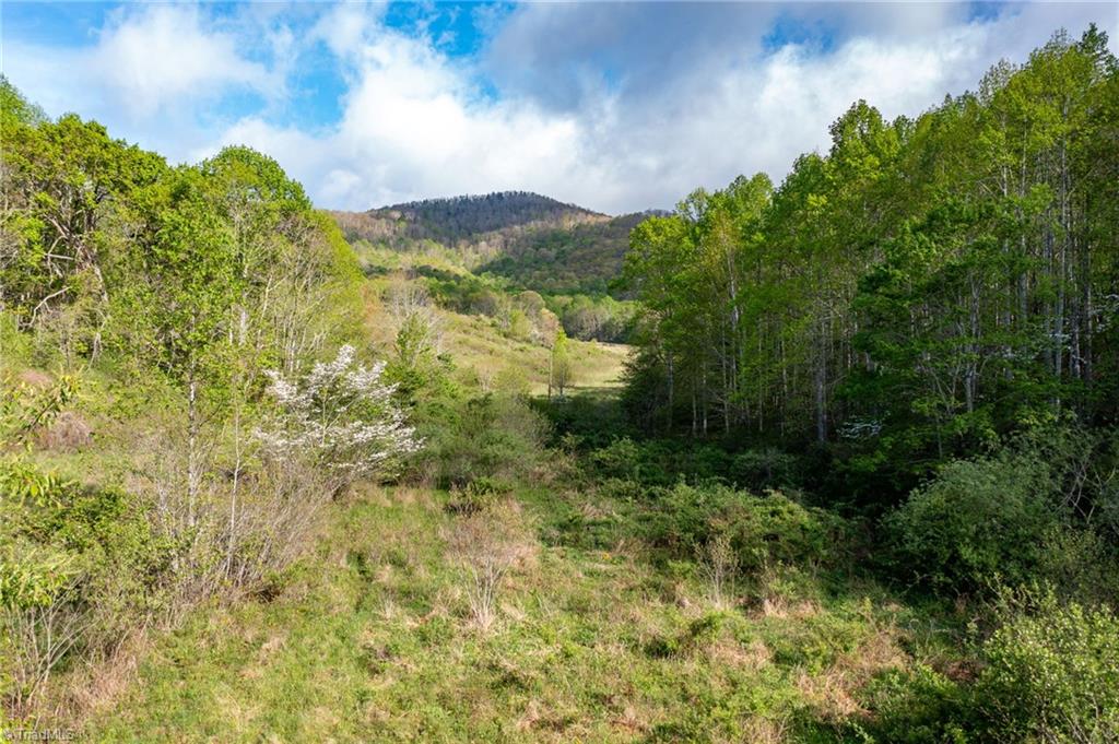 Tbd Ashe Park Road Property Photo 29